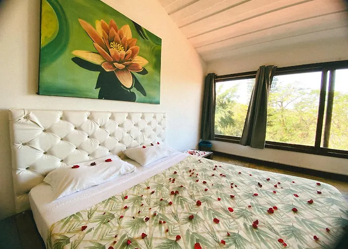 The Eco Palace Hostel